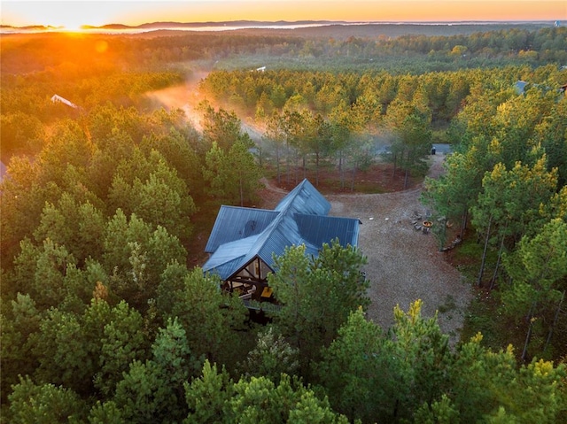 aerial view at dusk with a forest view