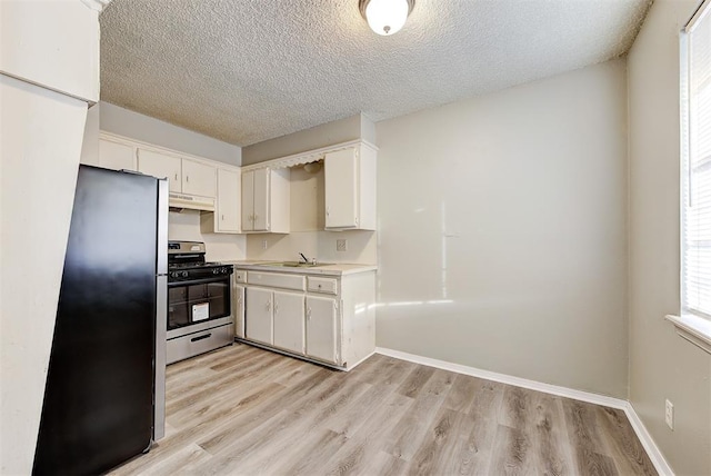 3333 S Walker Ave, Oklahoma City, OK 73109 - kitchen with light wood finished floors, a sink, stainless steel appliances, light countertops, and under cabinet range hood