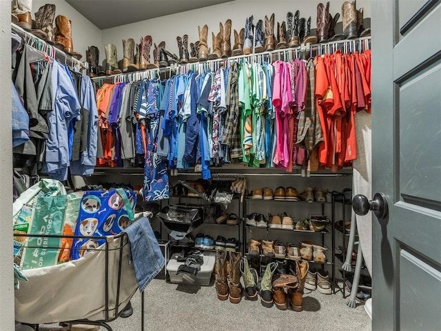 walk in closet with carpet flooring