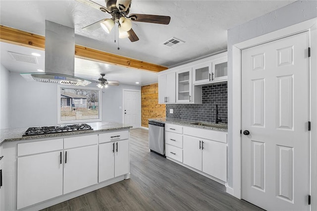 kitchen with visible vents, a sink, island exhaust hood, appliances with stainless steel finishes, and ceiling fan