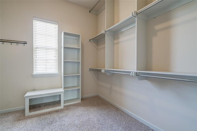 walk in closet featuring carpet