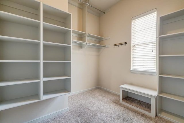 walk in closet with carpet floors