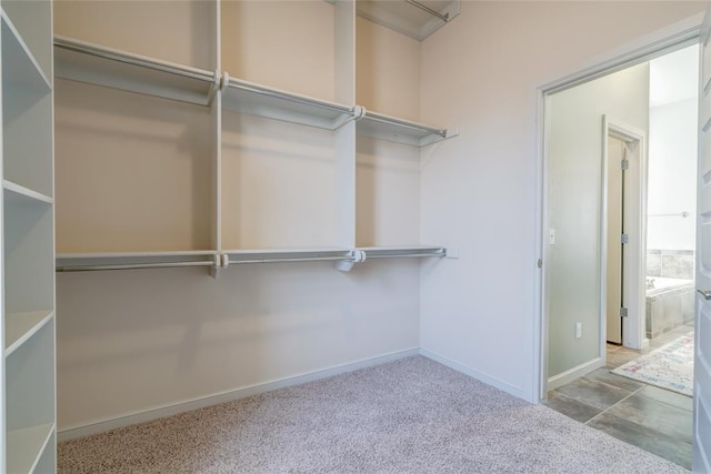 spacious closet with carpet flooring