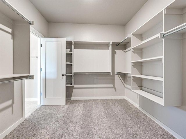 spacious closet featuring carpet floors