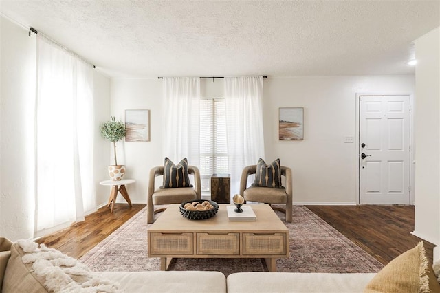 living room with wood finished floors, baseboards, and a textured ceiling