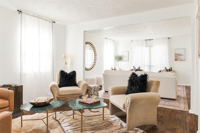 living room featuring a textured ceiling and wood finished floors