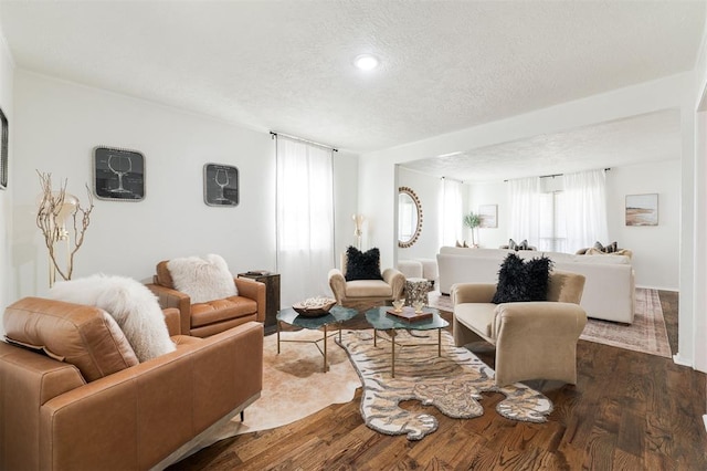 living room featuring dark wood-style floors and a textured ceiling