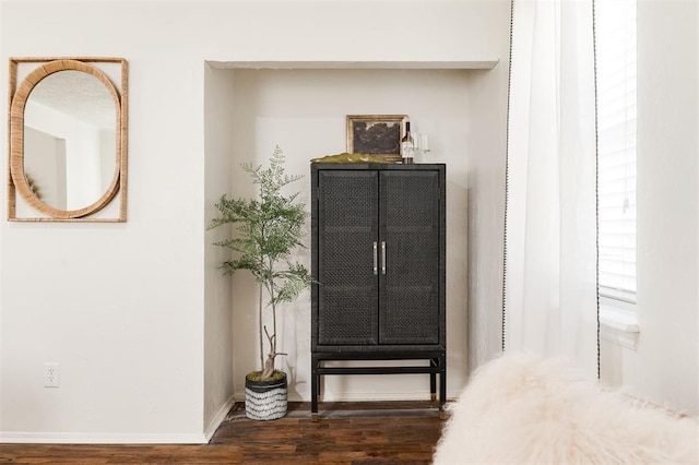 details featuring wood finished floors and baseboards