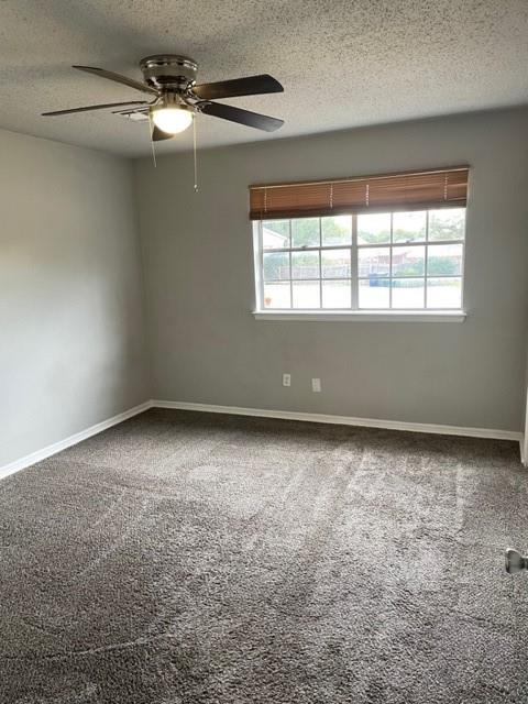 empty room featuring a wealth of natural light, carpet floors, and ceiling fan