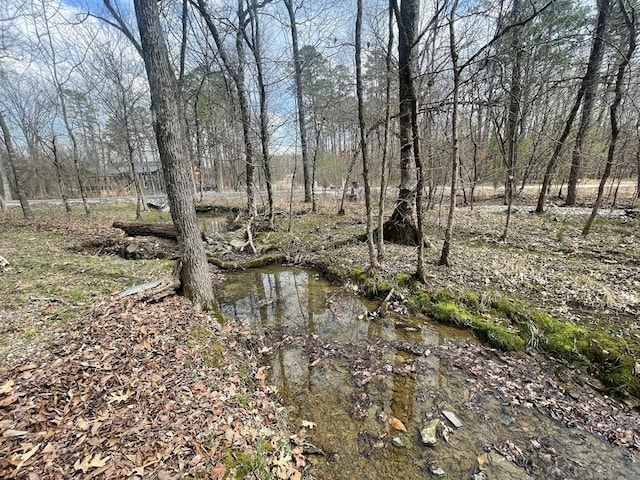 view of local wilderness featuring a forest view