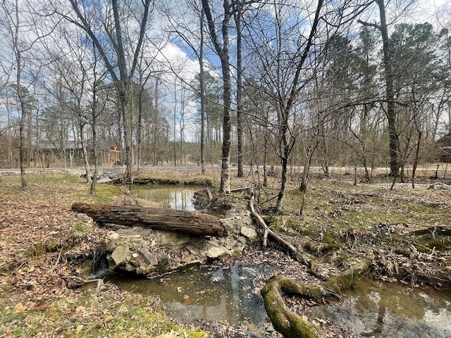 view of landscape