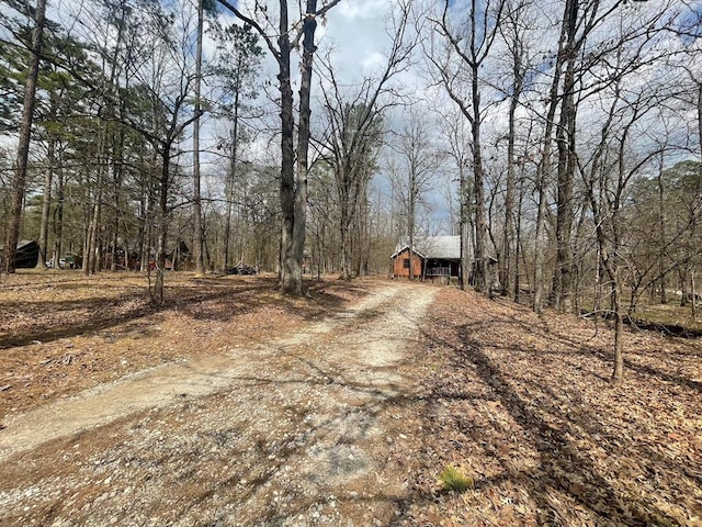 view of road featuring dirt driveway