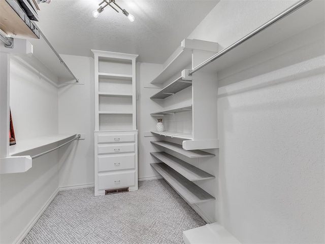 spacious closet featuring light colored carpet