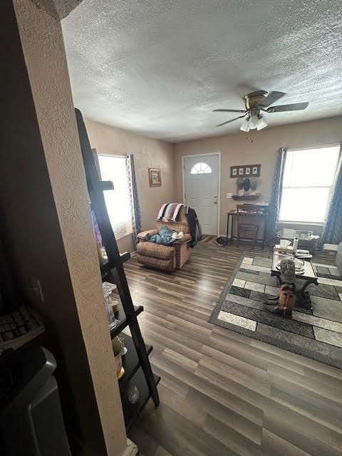 living room with ceiling fan, plenty of natural light, a textured ceiling, and wood finished floors