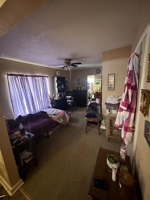 carpeted bedroom with multiple windows and a ceiling fan