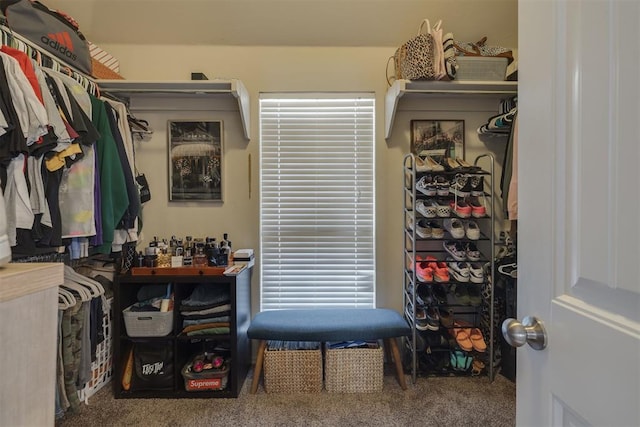 walk in closet featuring carpet flooring