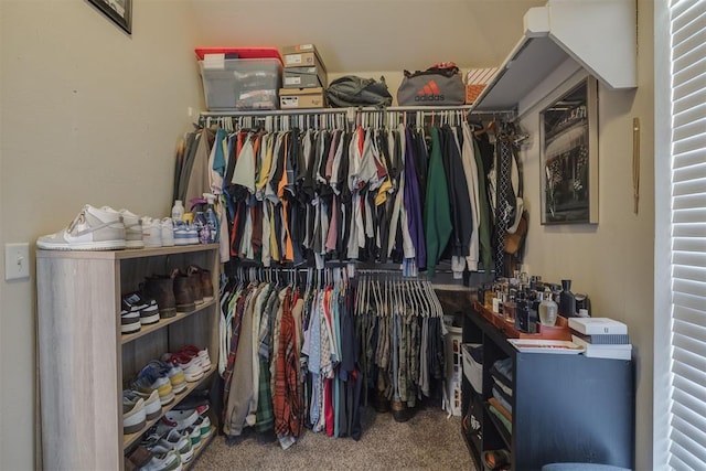 spacious closet featuring carpet floors