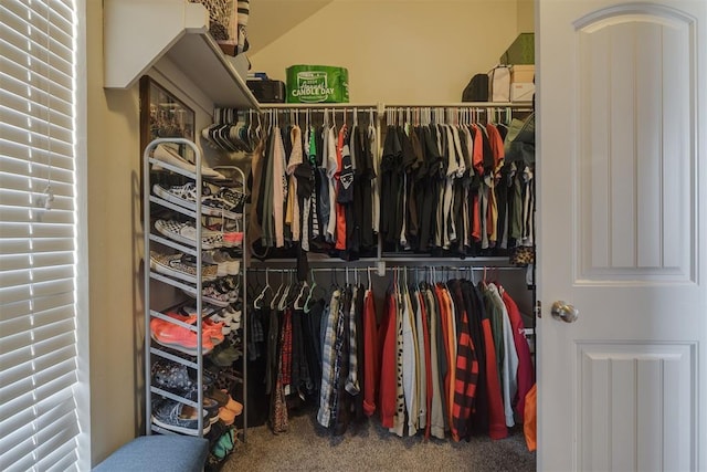 spacious closet featuring carpet floors