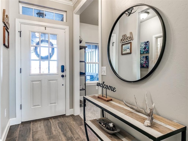 entrance foyer featuring baseboards, dark wood finished floors, and a textured wall