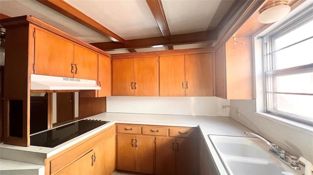 3731 Newport St, Oklahoma City, OK 73112 - kitchen featuring black electric stovetop, under cabinet range hood, a sink, and a healthy amount of sunlight