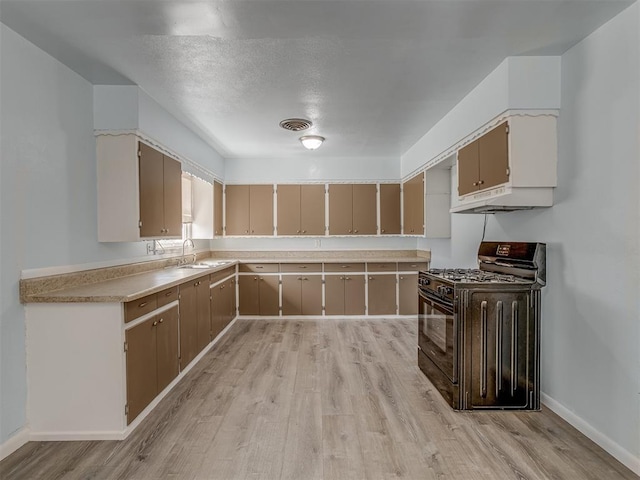 kitchen with visible vents, under cabinet range hood, a sink, light wood-style floors, and black gas range oven