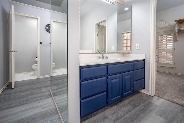 bathroom featuring toilet, vanity, and wood finished floors