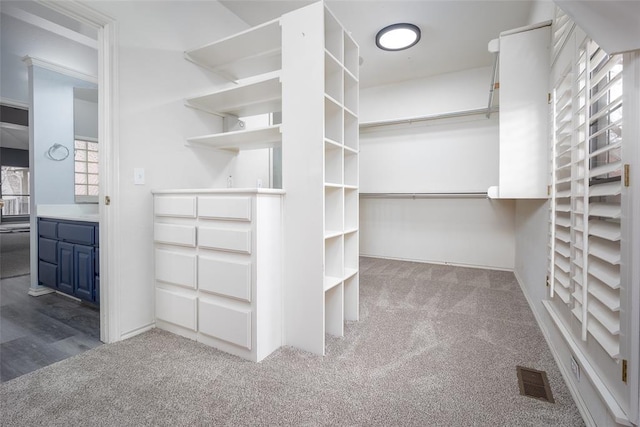 spacious closet featuring carpet flooring and visible vents