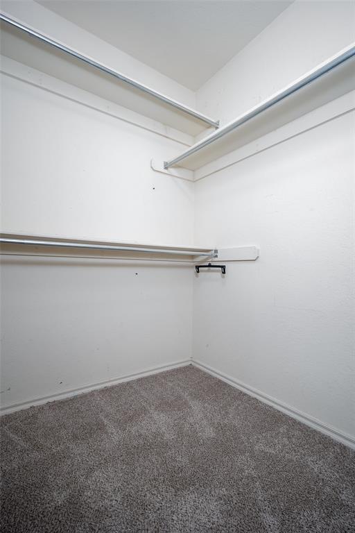 walk in closet with carpet