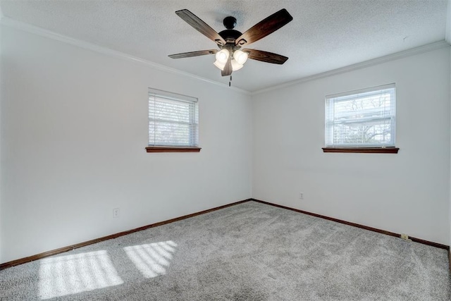 unfurnished room featuring a wealth of natural light, a textured ceiling, and crown molding