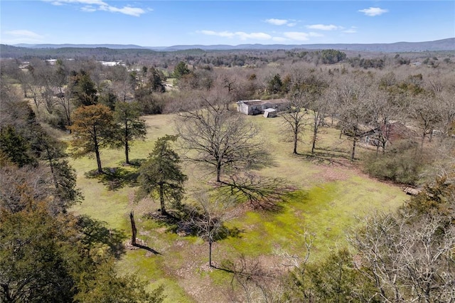 drone / aerial view featuring a forest view and a mountain view