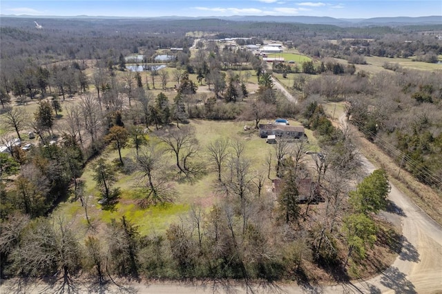 bird's eye view with a wooded view
