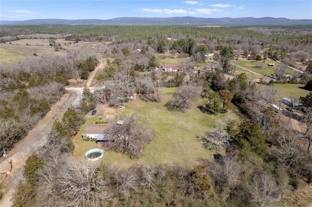 birds eye view of property featuring a mountain view