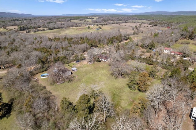 drone / aerial view