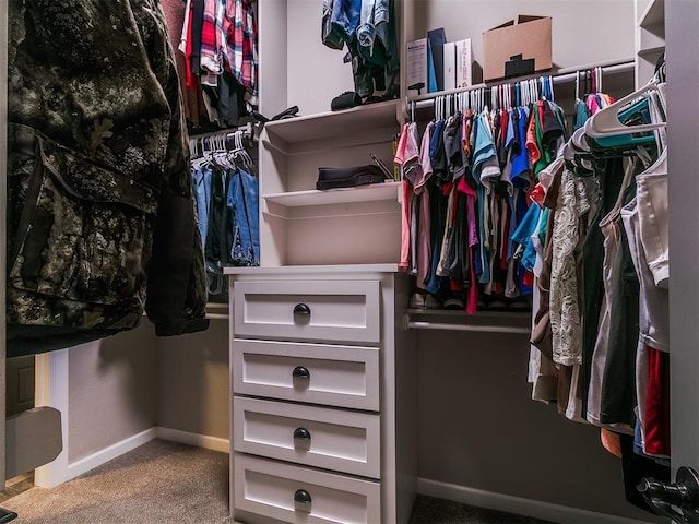 walk in closet featuring carpet