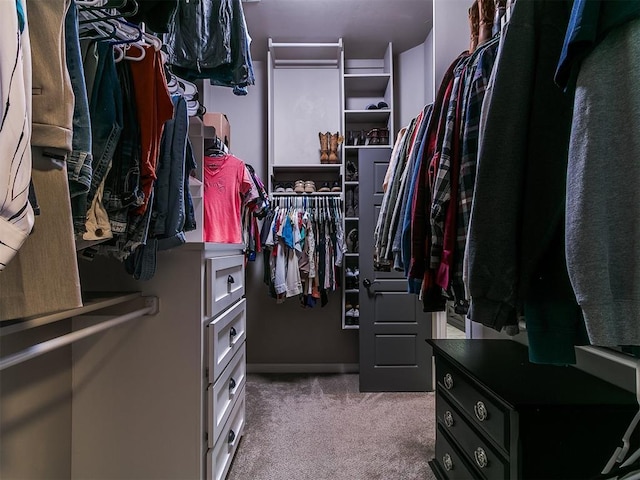 walk in closet with carpet floors