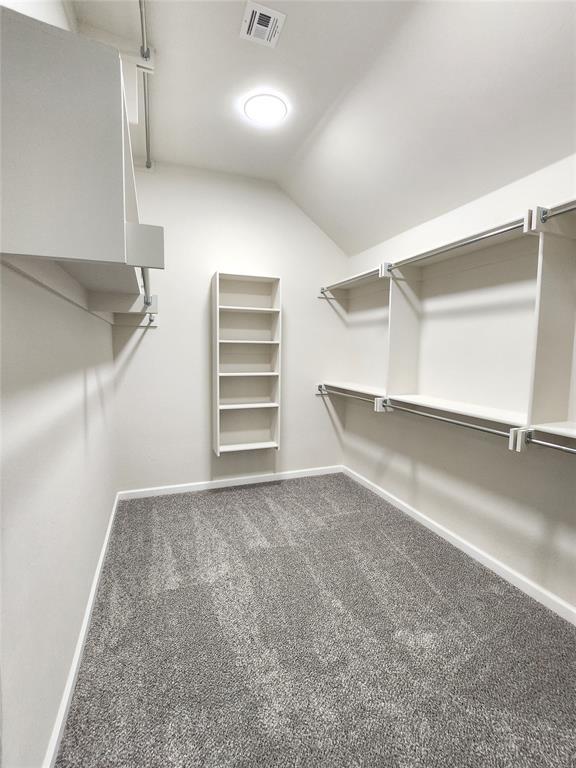11613 NW 103rd St, Yukon, OK 73099 - walk in closet with carpet and lofted ceiling