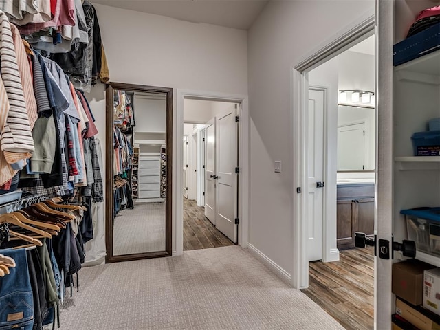 16304 Steppe Dr, Oklahoma City, OK 73170 - walk in closet with wood finished floors and carpet flooring