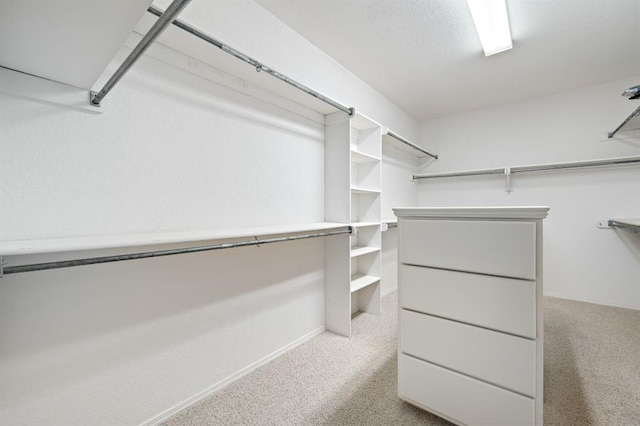 walk in closet with carpet