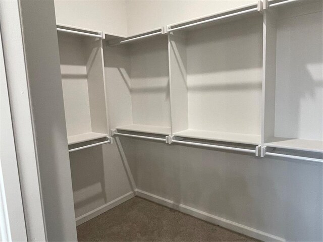 spacious closet featuring dark carpet