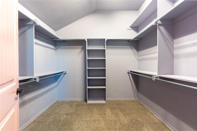 spacious closet featuring lofted ceiling and carpet flooring