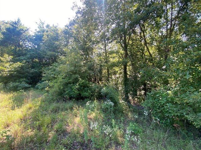 1482 N 4210th Rd, Hugo, OK 74738 - photo 3