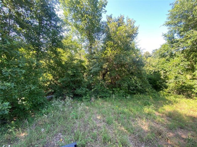 1482 N 4210th Rd, Hugo, OK 74738 - photo 4