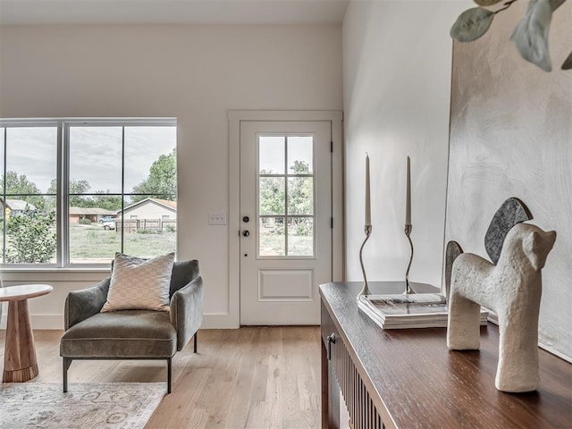 entryway featuring light wood-style floors and a healthy amount of sunlight