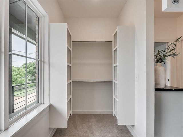 walk in closet featuring carpet flooring
