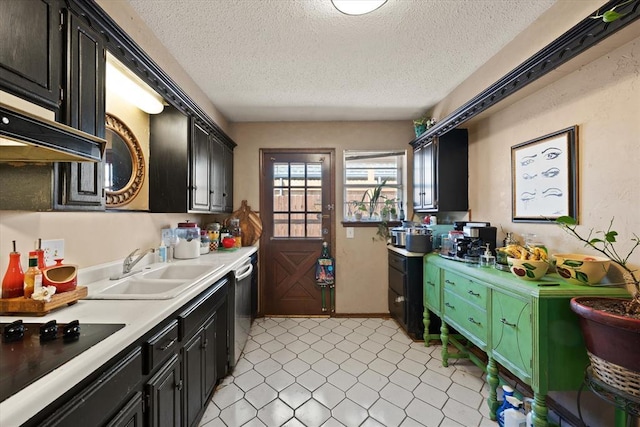 kitchen featuring a sink, dark cabinetry, and a textured ceiling