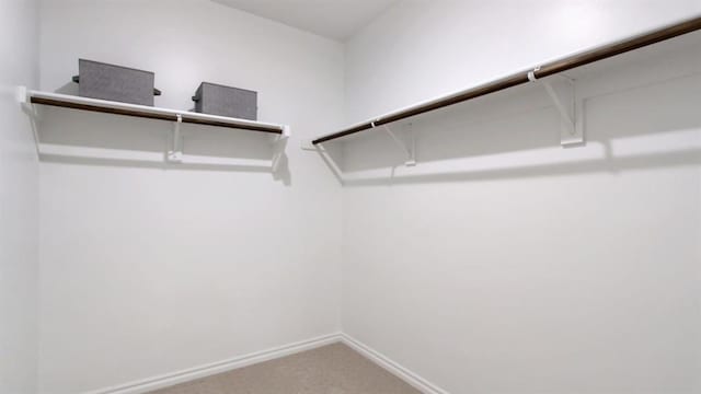 5412 Windstone Ln, Norman, OK 73072 - walk in closet with carpet floors