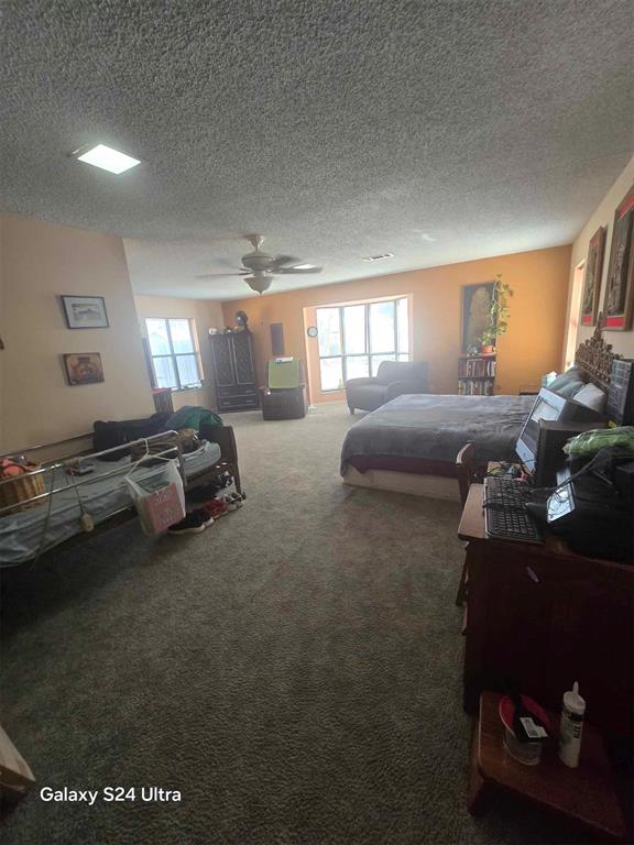 506 E Oklahoma St, Walters, OK 73572 - bedroom featuring carpet, a ceiling fan, and a textured ceiling
