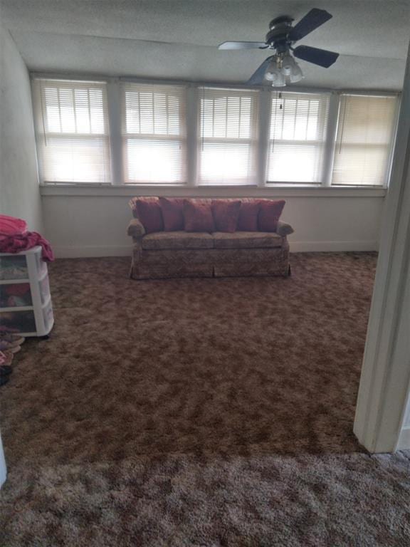 2005 E Cherokee Ave, Enid, OK 73701 - living room with plenty of natural light, ceiling fan, and carpet