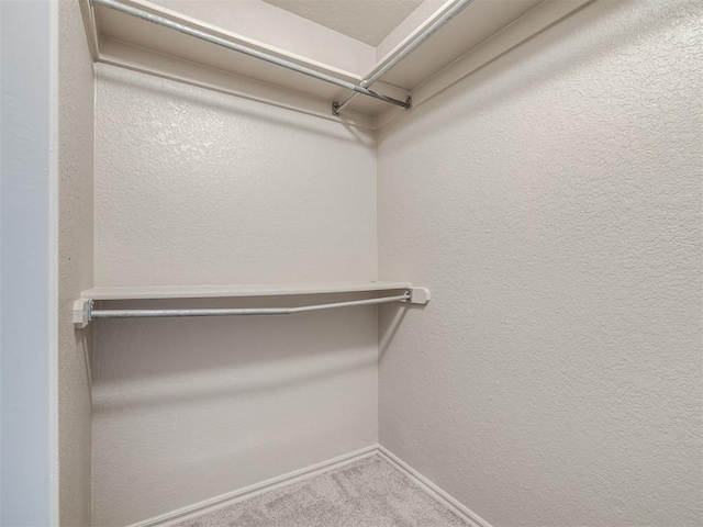 spacious closet featuring carpet floors