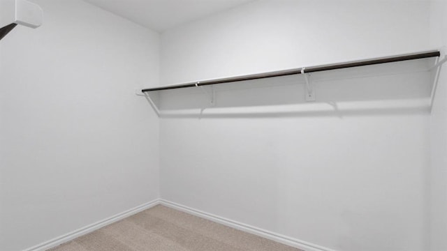 5502 Windstone Ln, Norman, OK 73072 - spacious closet with light carpet